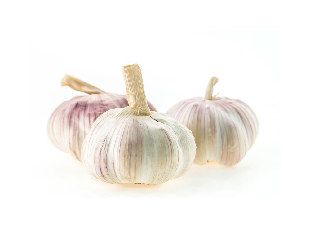 Garlic
